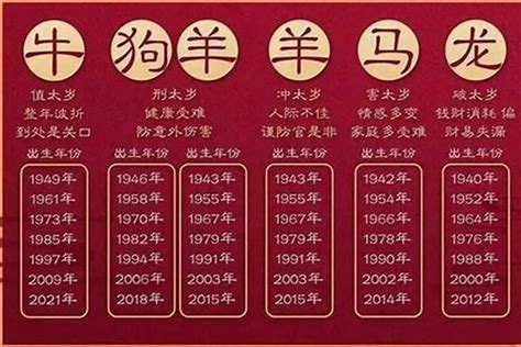 2023年属性|2023年的属相 2023年什么生肖年